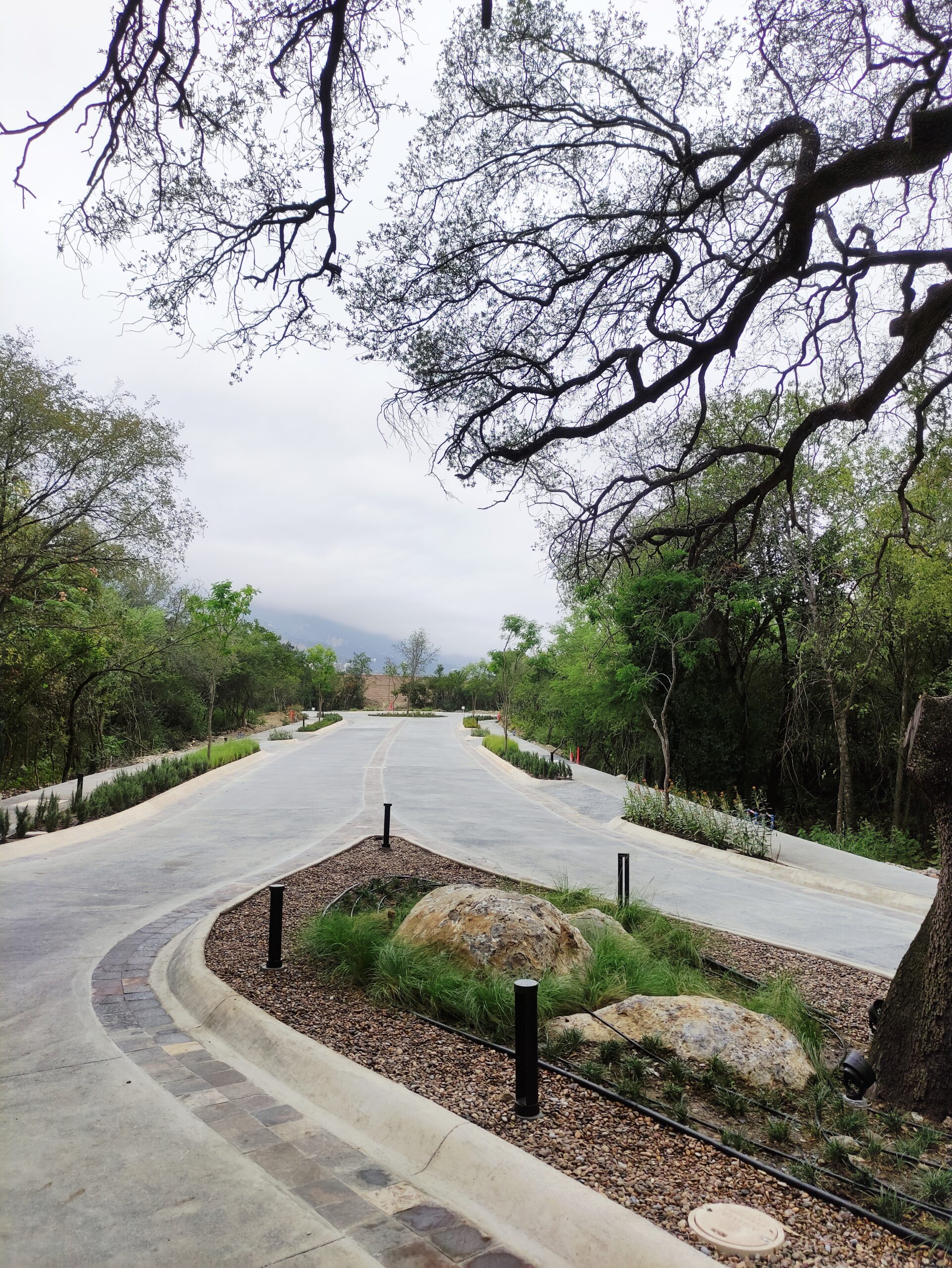 Diseño de jardín residencial en Monterrey