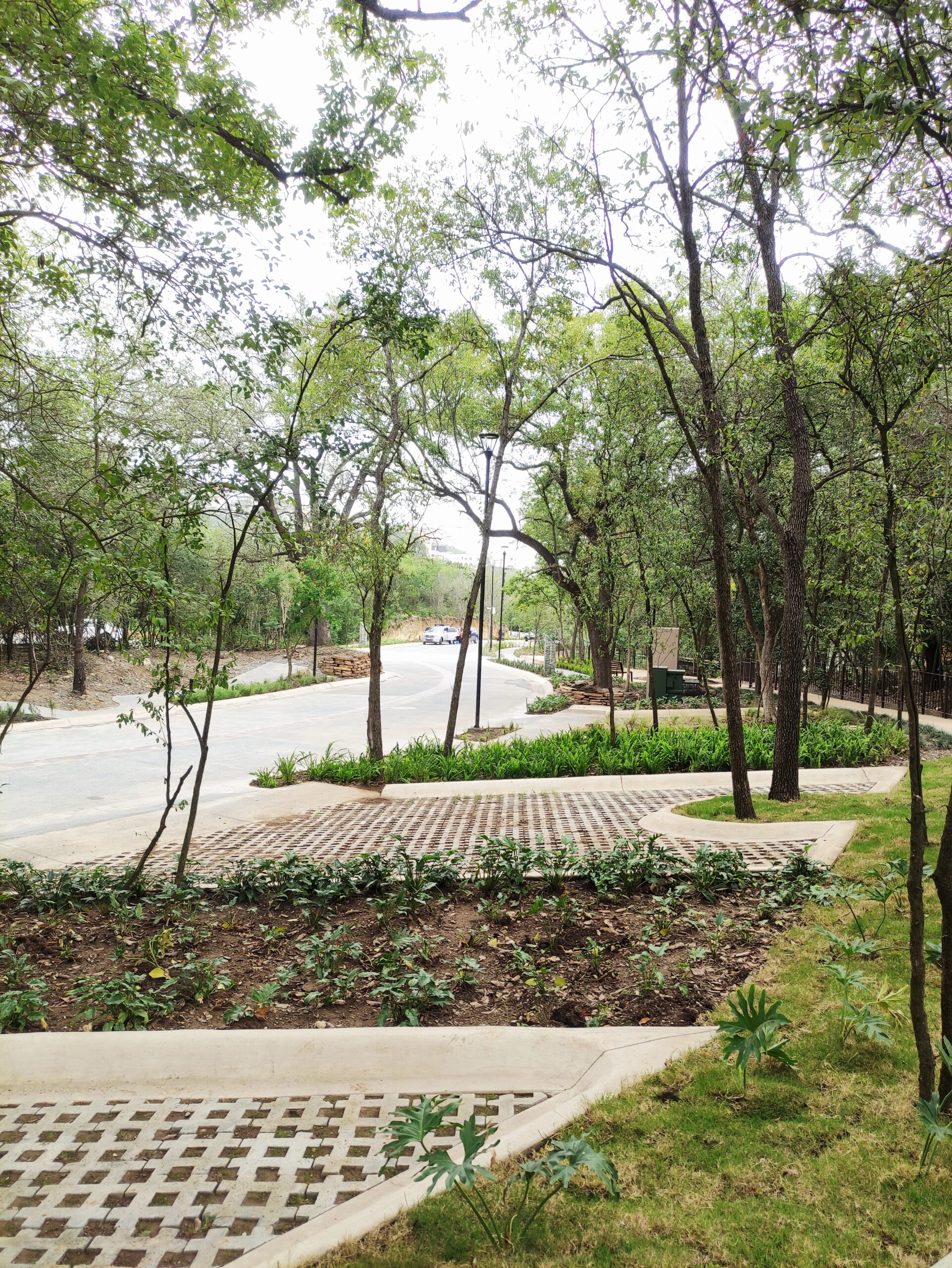 jardin sustentable y mantenimiento profesional de jardineria monterrey