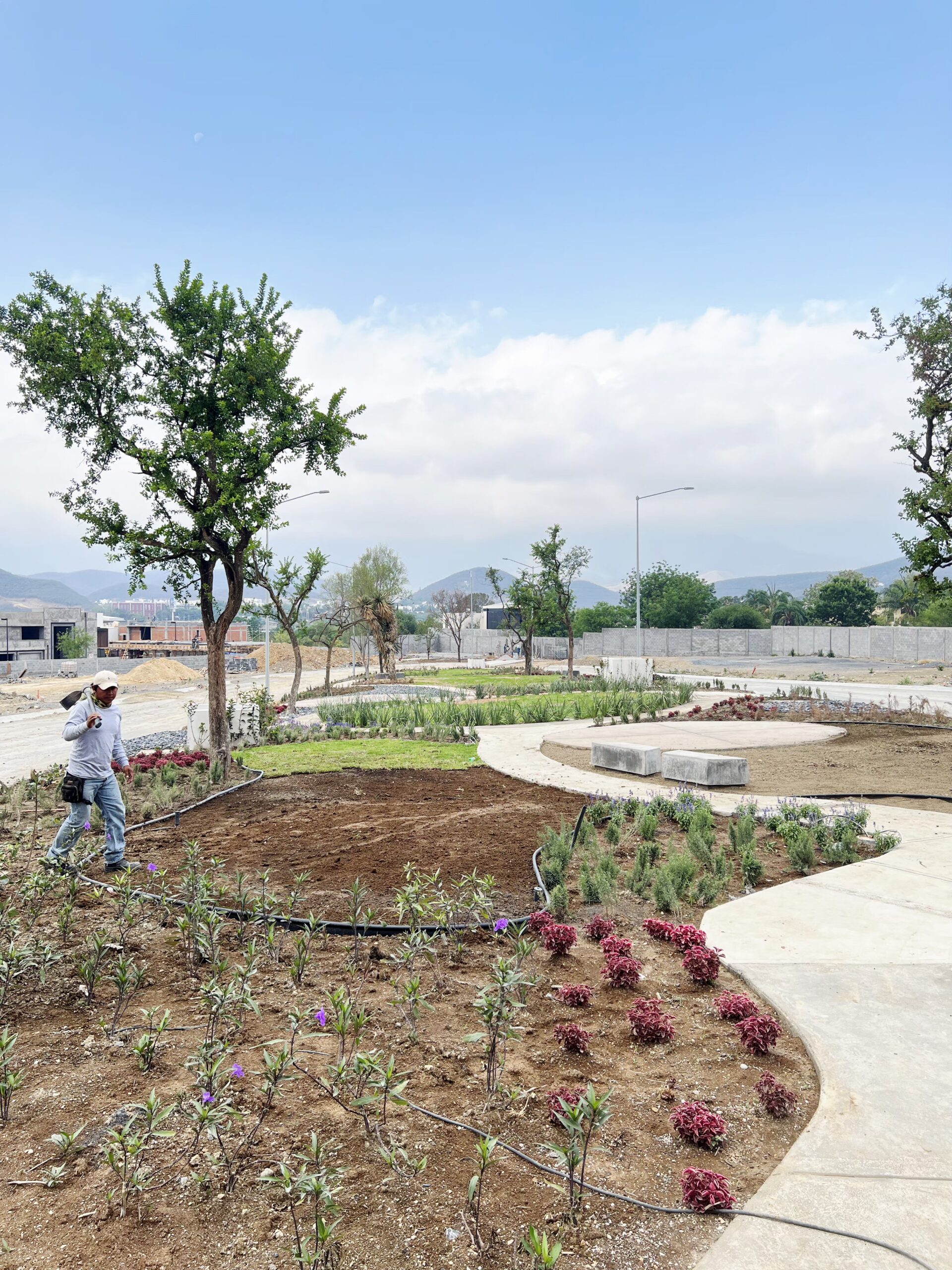 construcción de jardín en fraccionamiento en monterrey