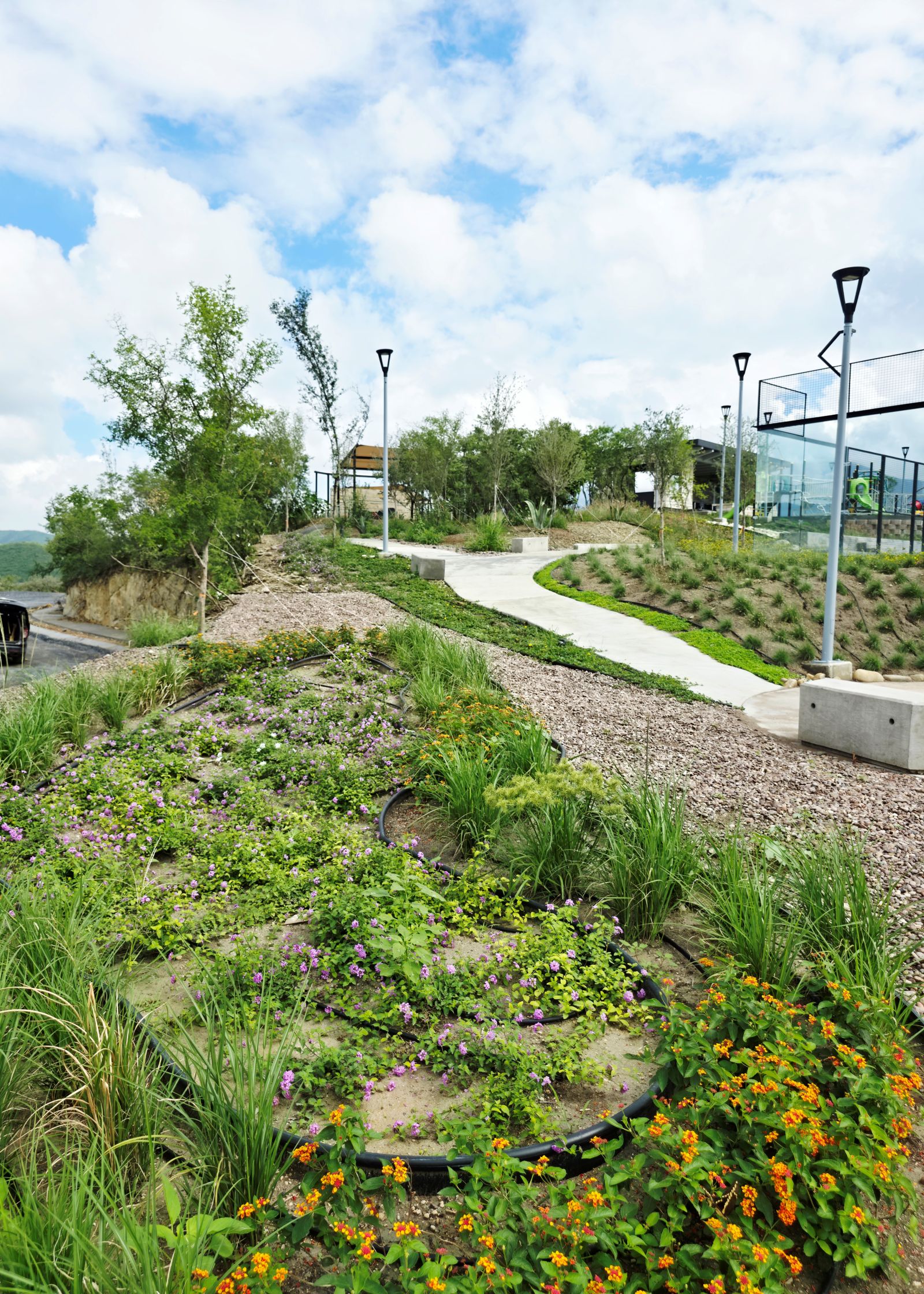 Diseño de jardín comercial con plantas nativas y piedra decorativa en Monterrey